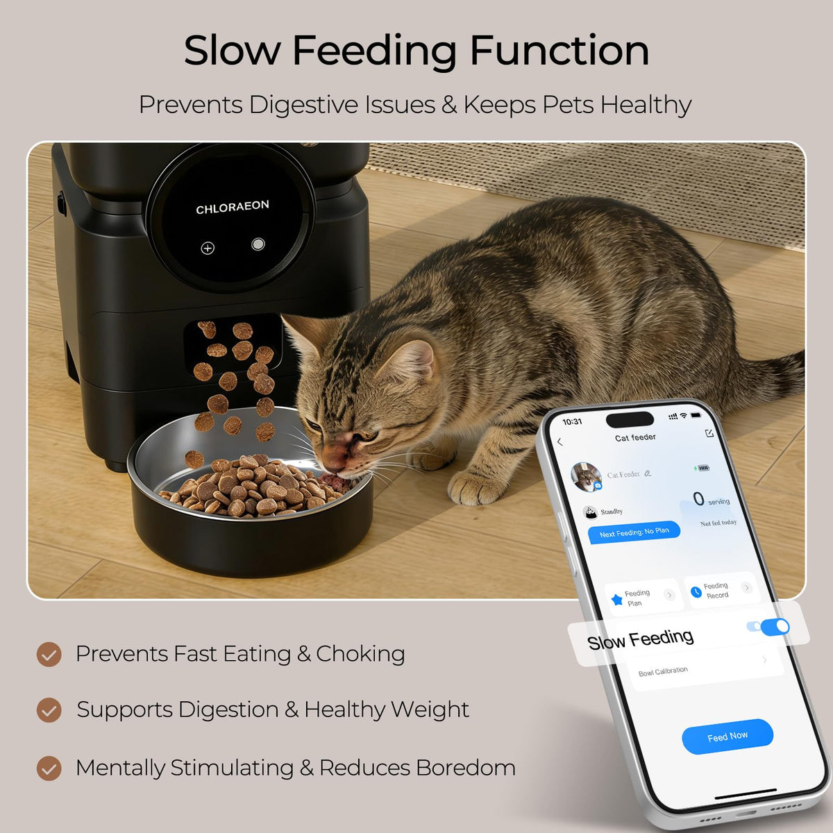 Chloraeon Pet Feeder in Black