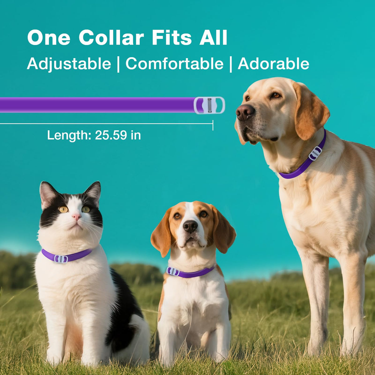 ZingZap Pet Pest Control in Purple