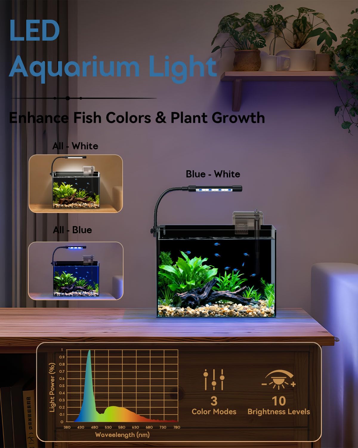 minilake Vivarium in 2.5 Gallon, Black