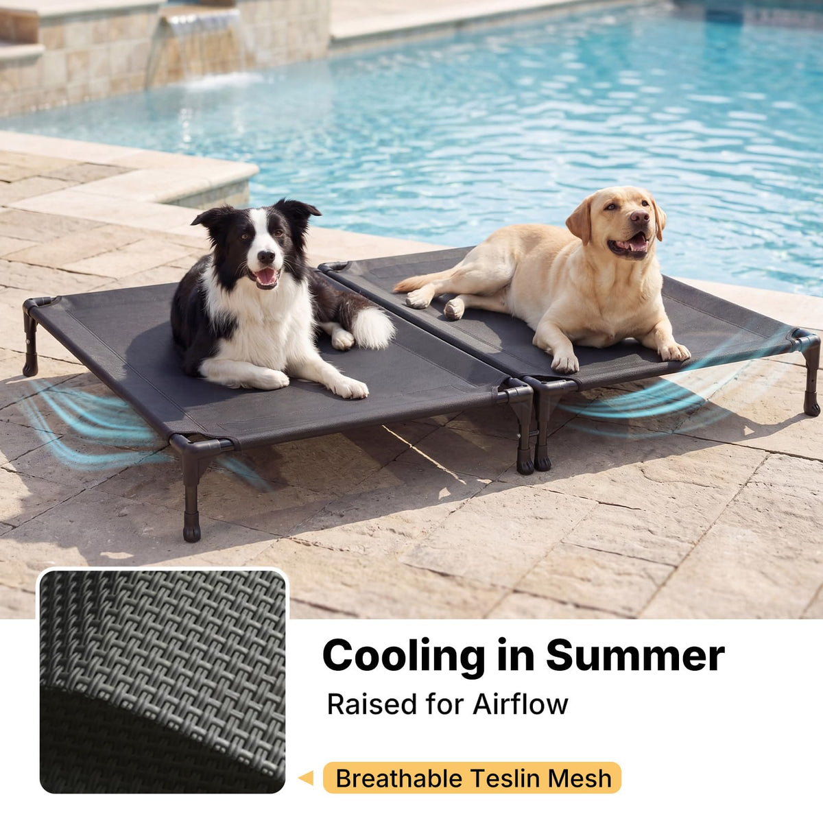 Veehoo Pet Bed Mat in 35.0"L x 25.0"W x 7.0"Th, 2 Connected Beds-Black