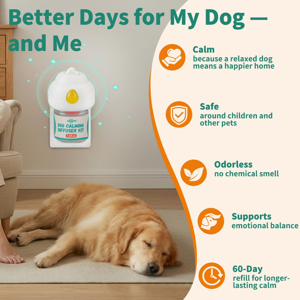 Pawith Pet Supplies in cyan