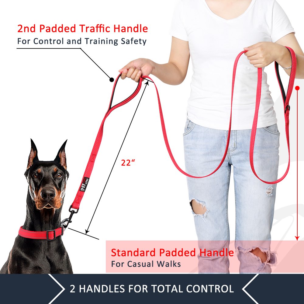 PLUTUS PET Leash in 4 FT, Red