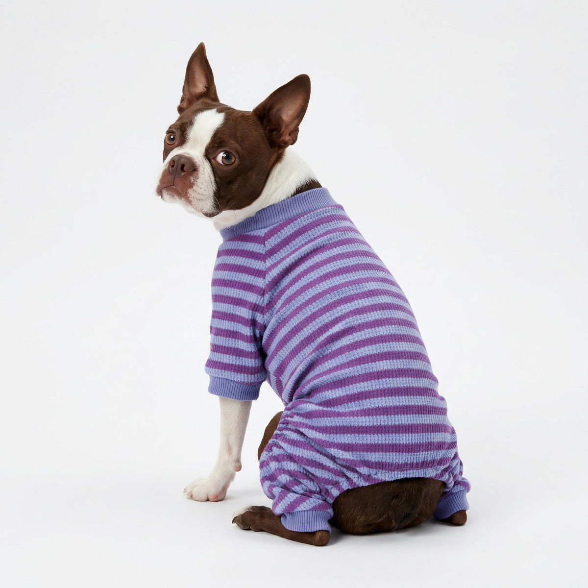 Fitwarm Pet Apparel in X-Small, DarkViolet