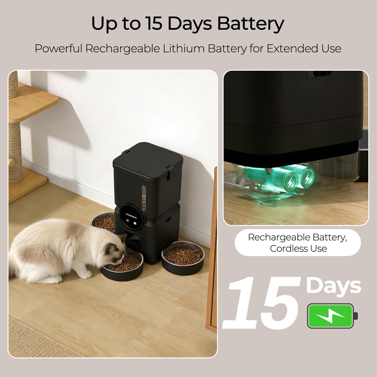 Chloraeon Pet Feeder in Black