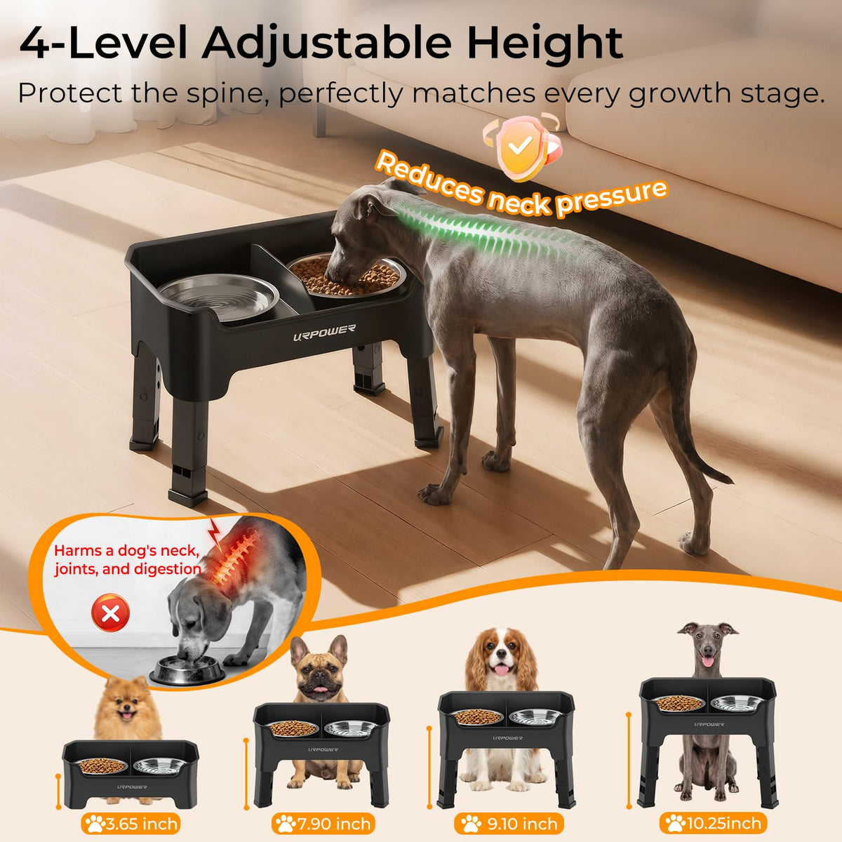 URPOWER Pet Feeder in Small, Matte Black