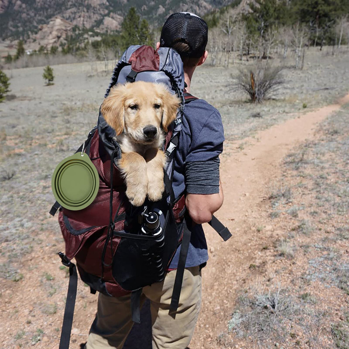 SLSON Pet Feeder in Avocado Green+Dark Green