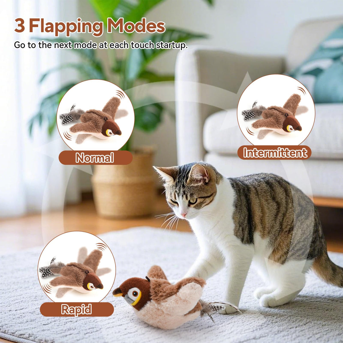 AUSCAT Pet Toy in 3 Colors-CA