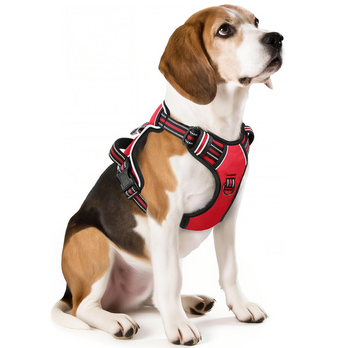 HEELE Animal Harness in M, Red