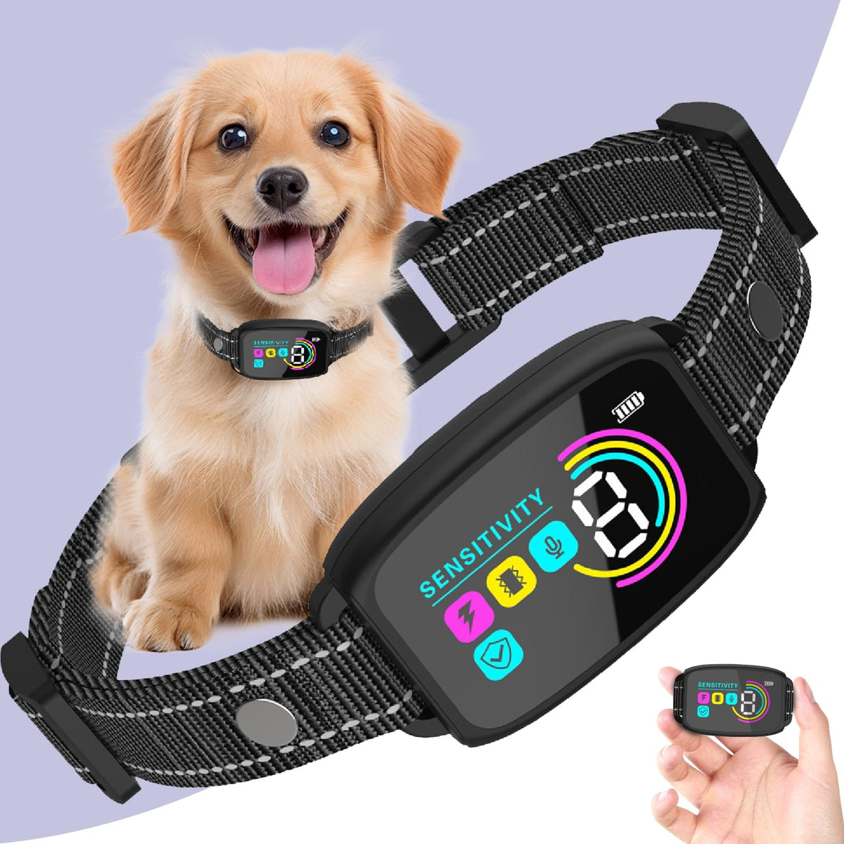 XCPP Animal Collar in Black
