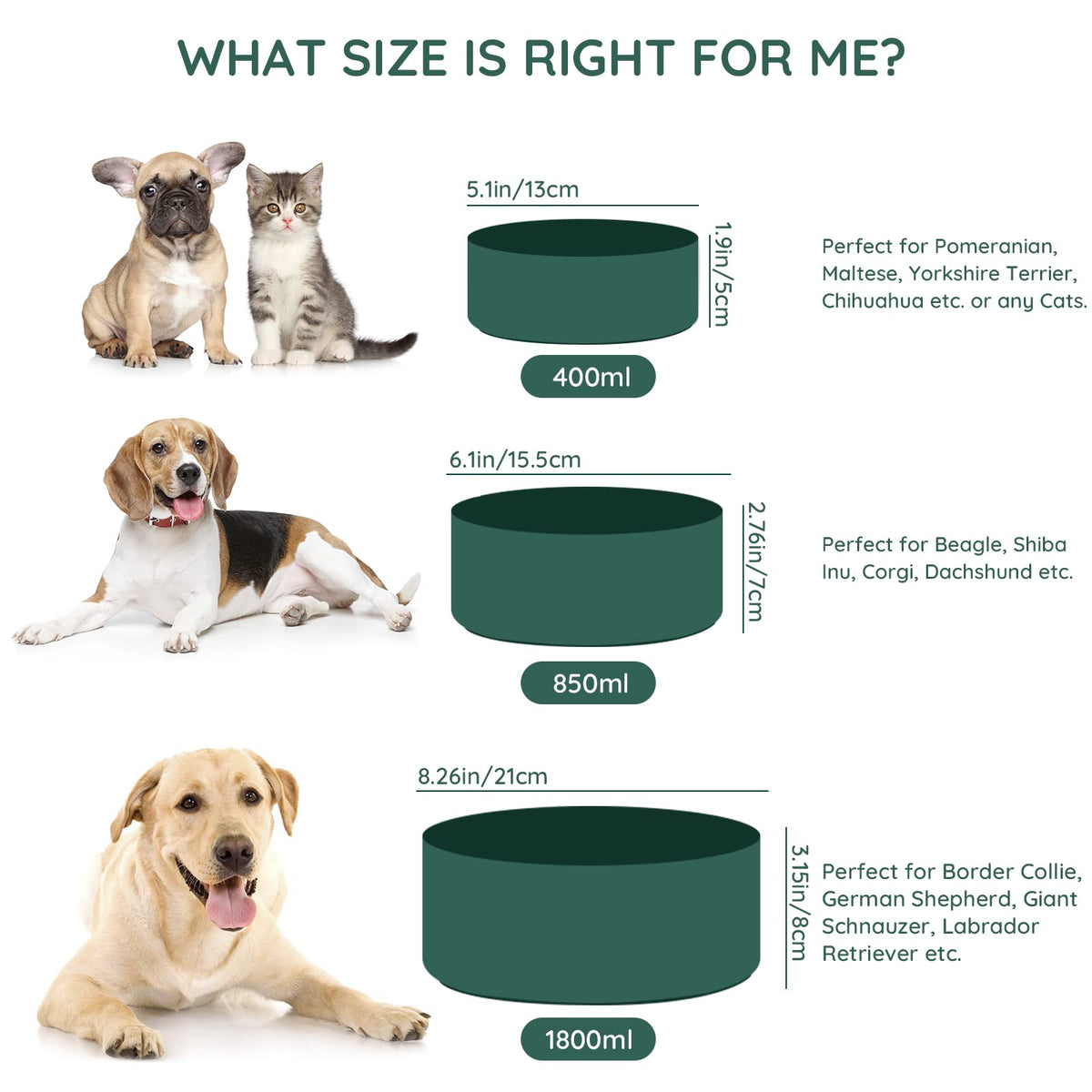 SPUNKYJUNKY Pet Feeder in 7.6 cups, Green × 2