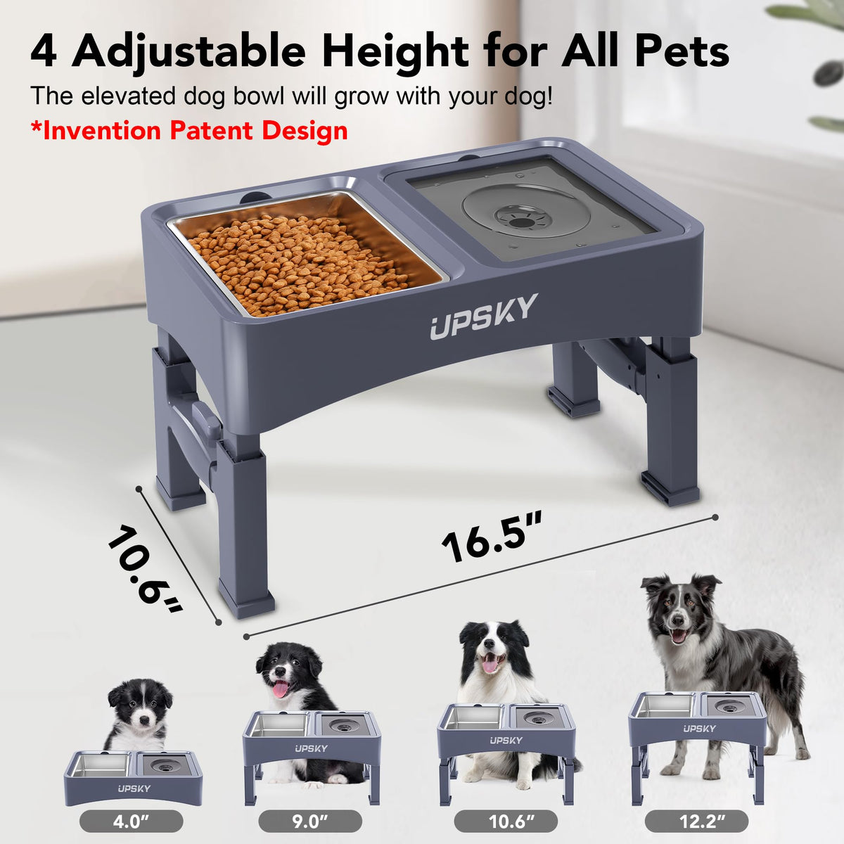 UPSKY Pet Feeder in F-3 in 1 Blue