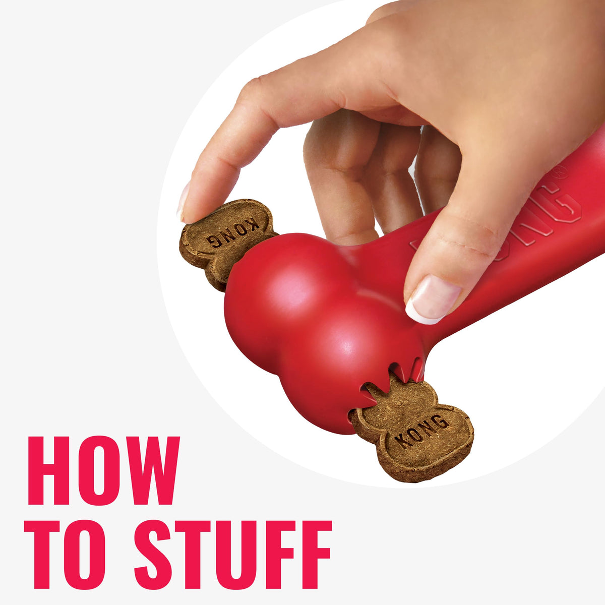 KONG Pet Toy in Large (Pack of 1), Red