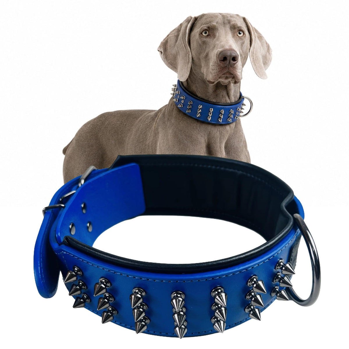Molteriqo Animal Collar in L-neck 39-47cm, Blue