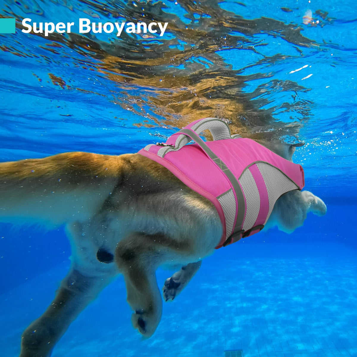 Queenmore Pet Apparel in X-Small, Pink