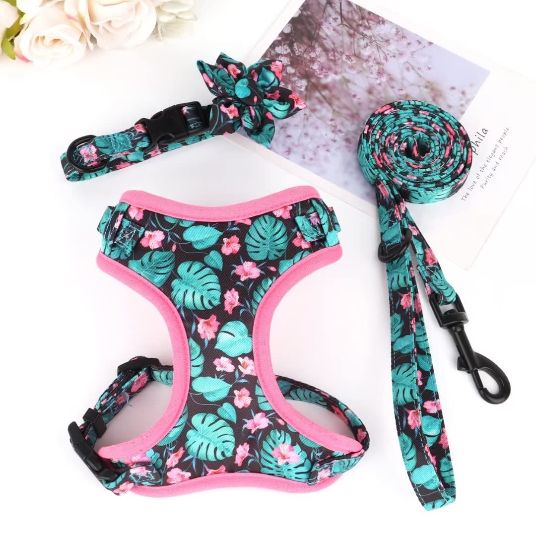 Beirui Animal Harness in XXS:Fit 2-6 lbs, Blue