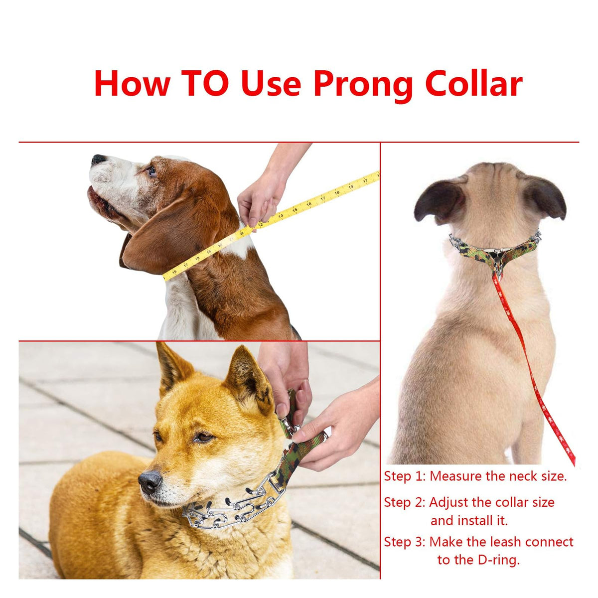 Aheasoun Animal Collar in M, 3mm,19.6-In, with Buckle