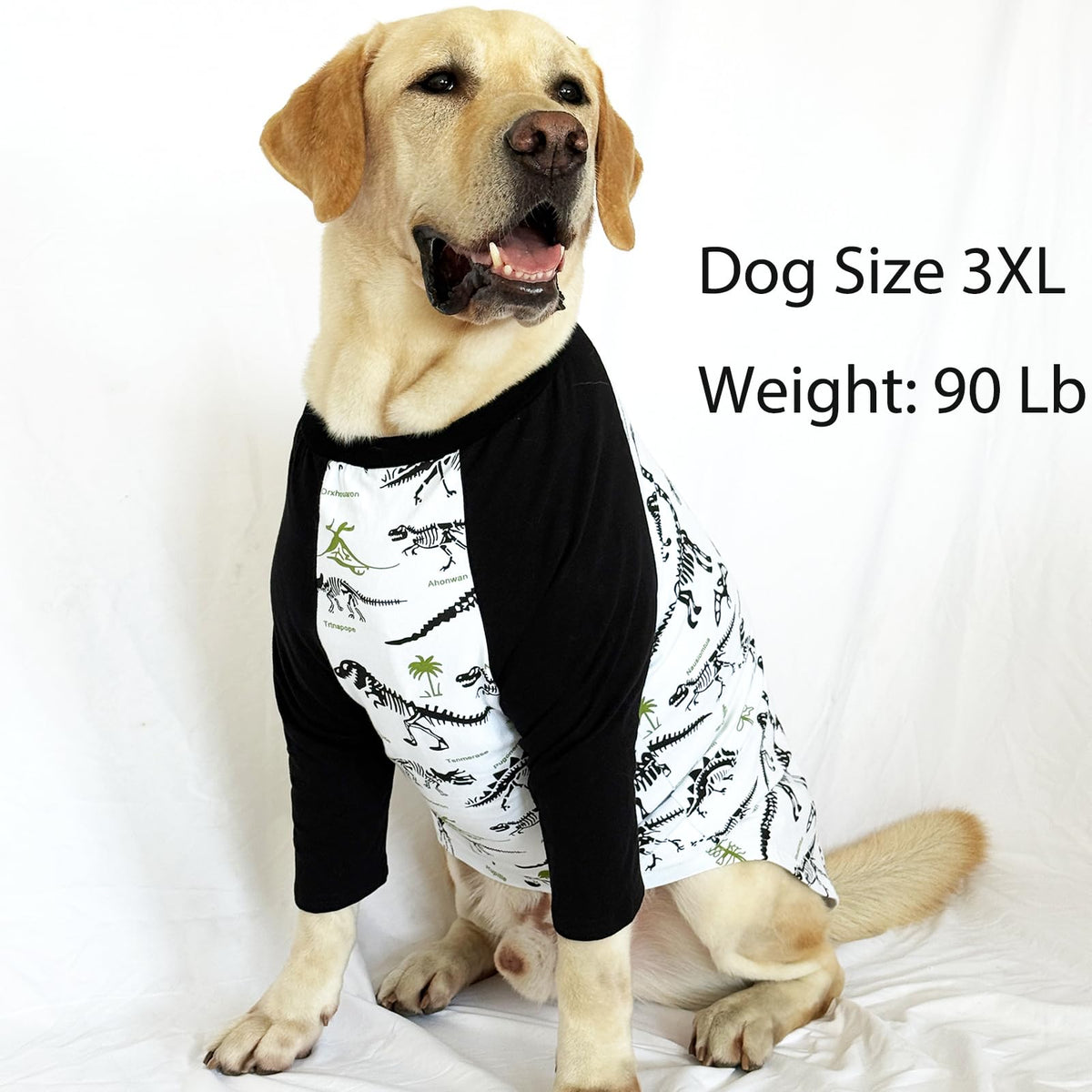 PriPre Pet Apparel in XX-Large, Black Dinosaur
