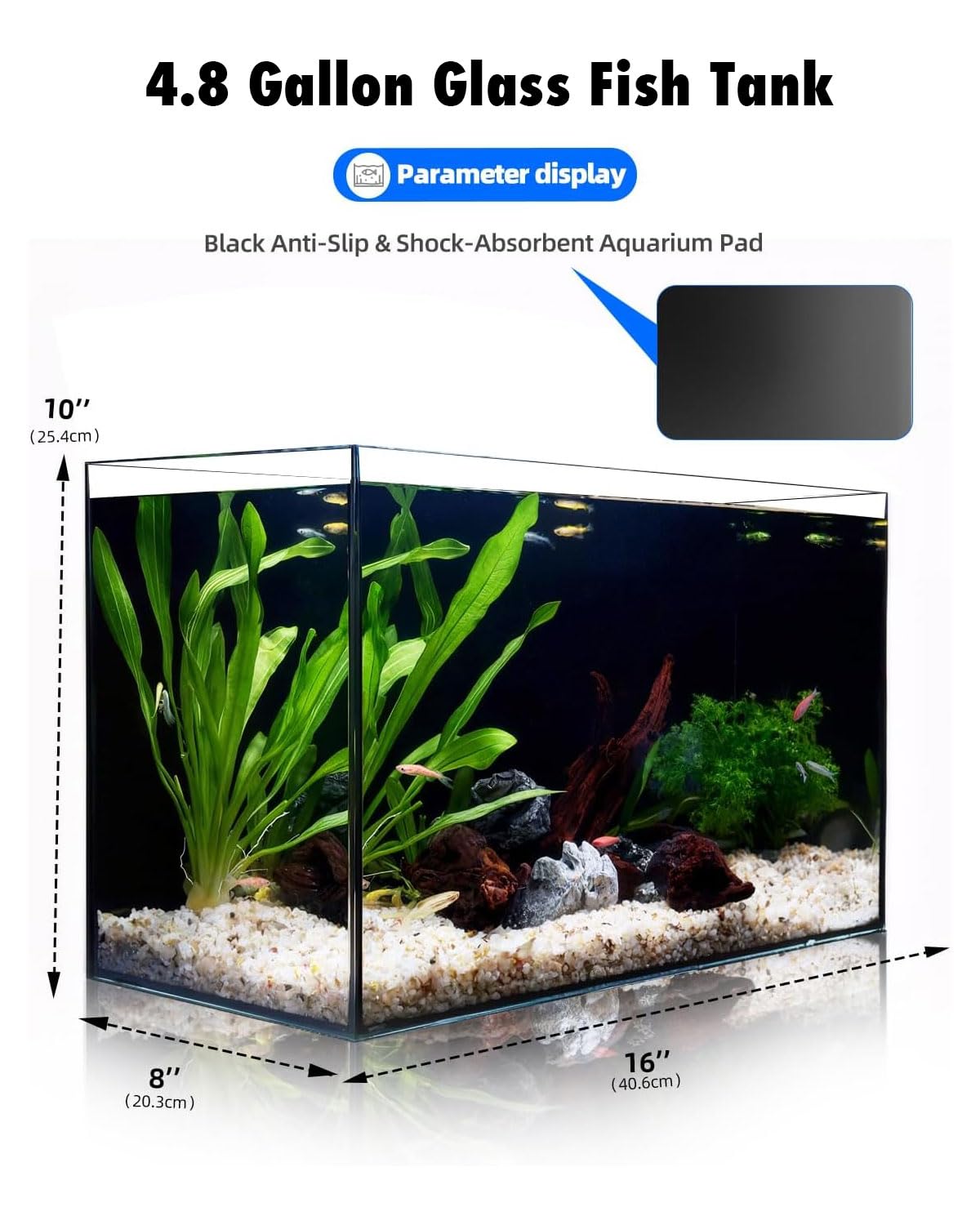minilake Vivarium in 5 Gallon, Black