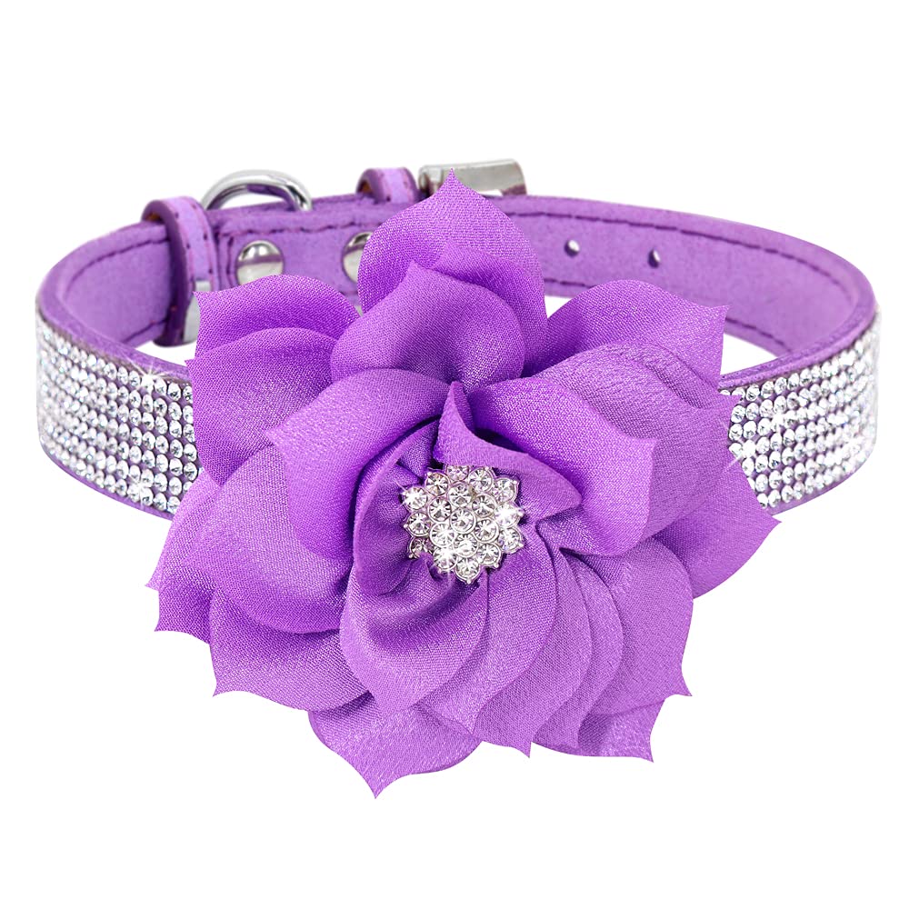 PET ARTIST Animal Collar in XS:Neck 7.5-10"(3-7 lbs), Purple
