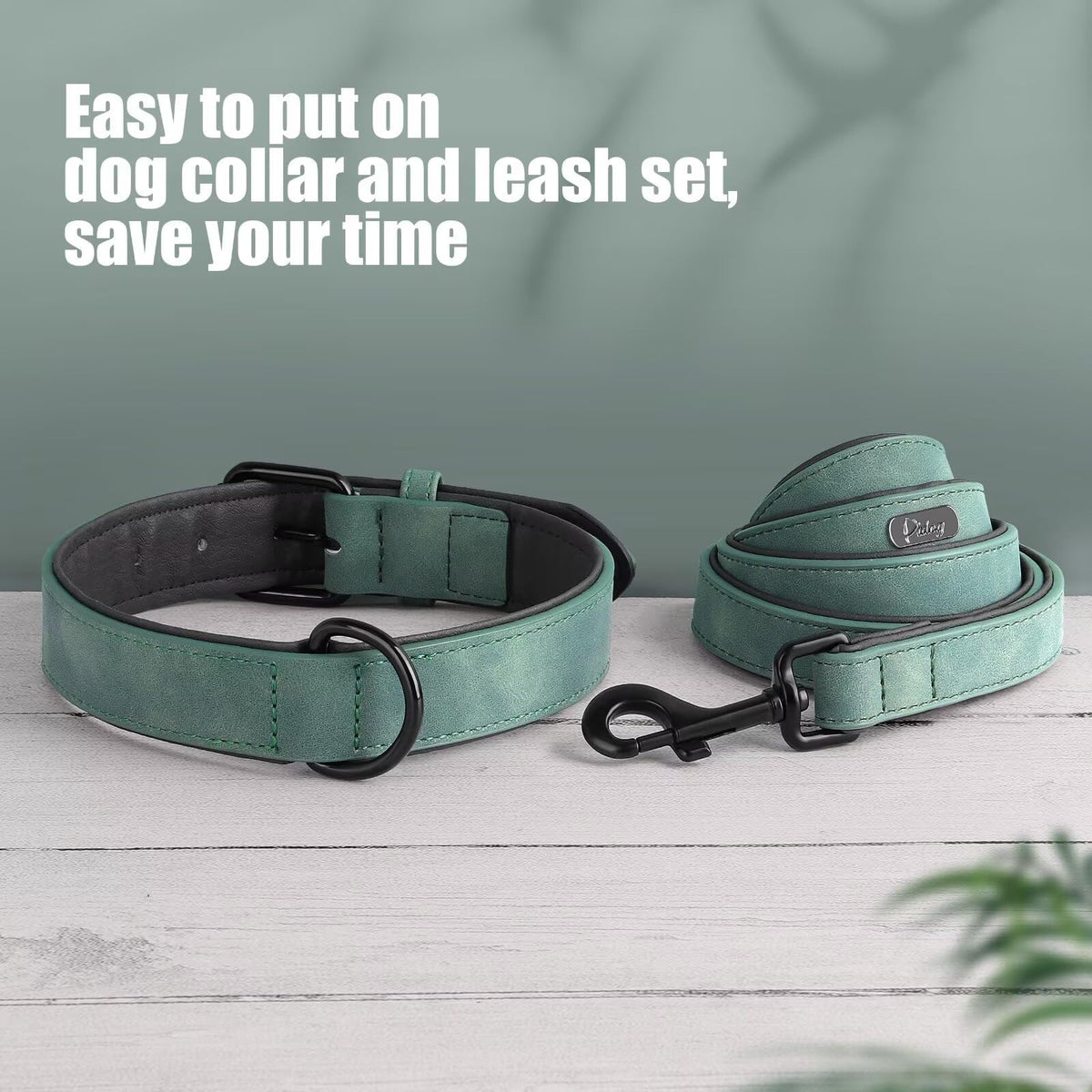Didog Animal Collar in M: Fit Neck 11-14"(10-20 lbs), Green Set