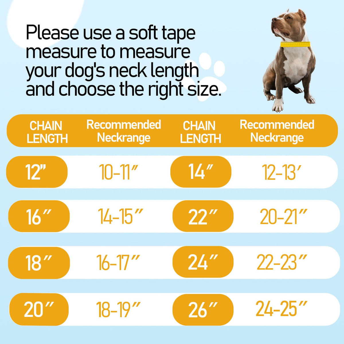 BAOBOTE Animal Collar in 12"(for 10"-11" Neck), Gold