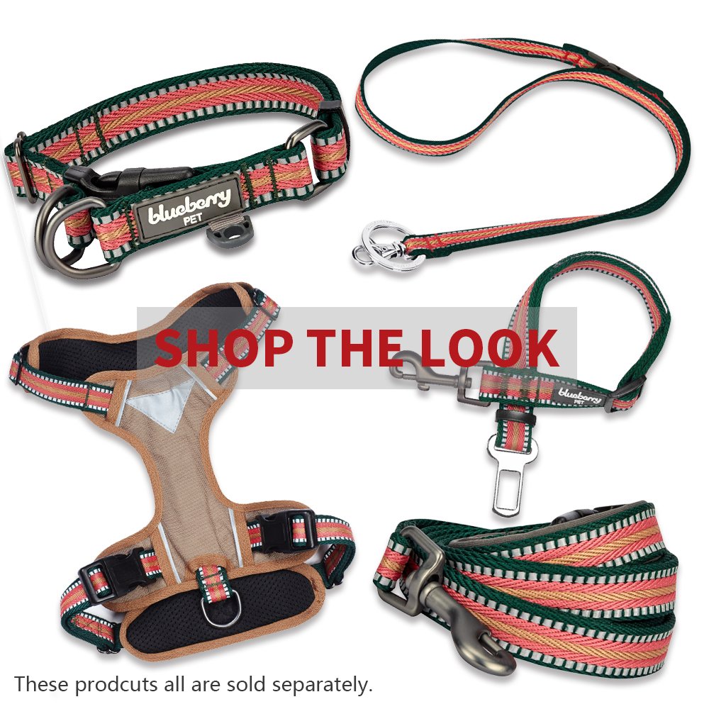 Blueberry Pet Animal Harness in Small, Dark Green&Pink