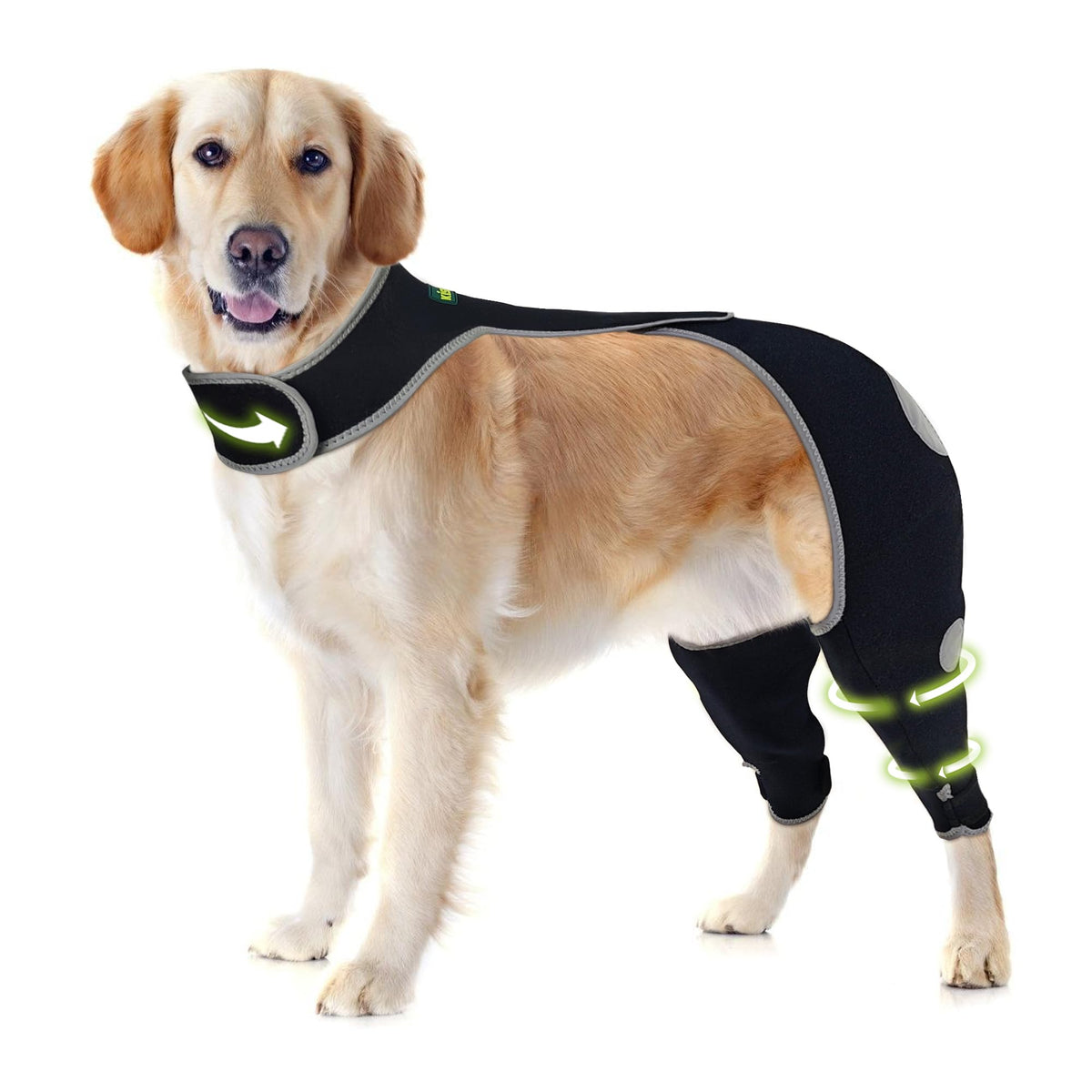 KISFLY Pet Supplies in L, Black