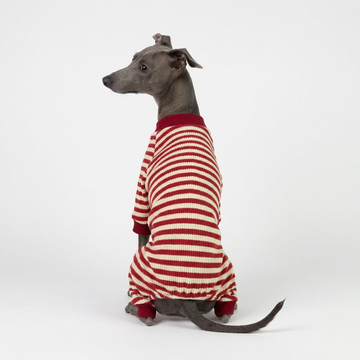 Fitwarm Pet Apparel in X-Small, Red