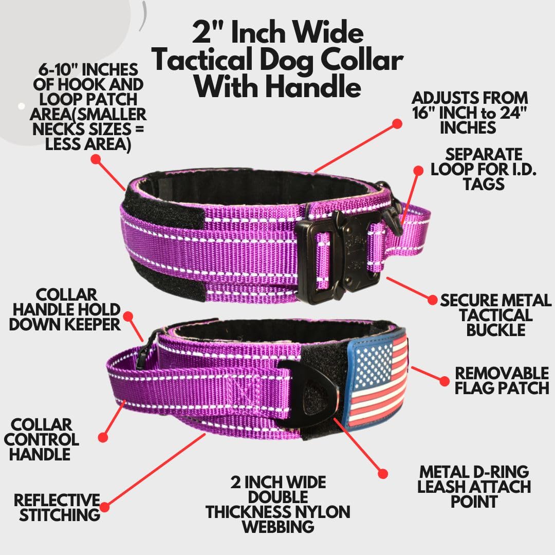 DEZIZEUSK9 Animal Collar in 16-25 INCH, PURPLE-COBVEL2