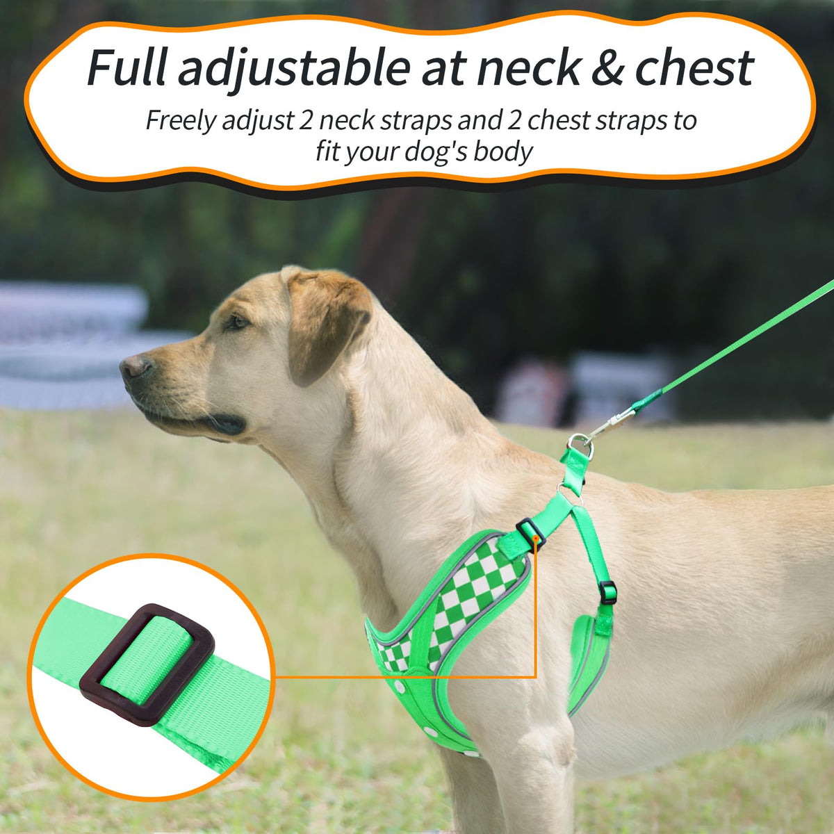 SAEGYPET Animal Harness in L, Green (denim)
