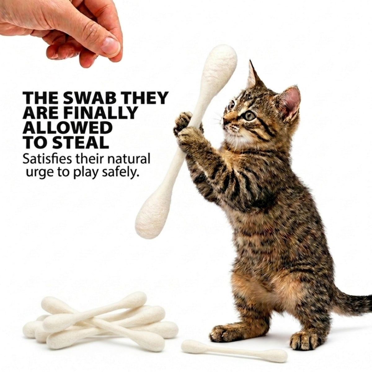 Glaciart One Pet Toy in Regular, White Swabs
