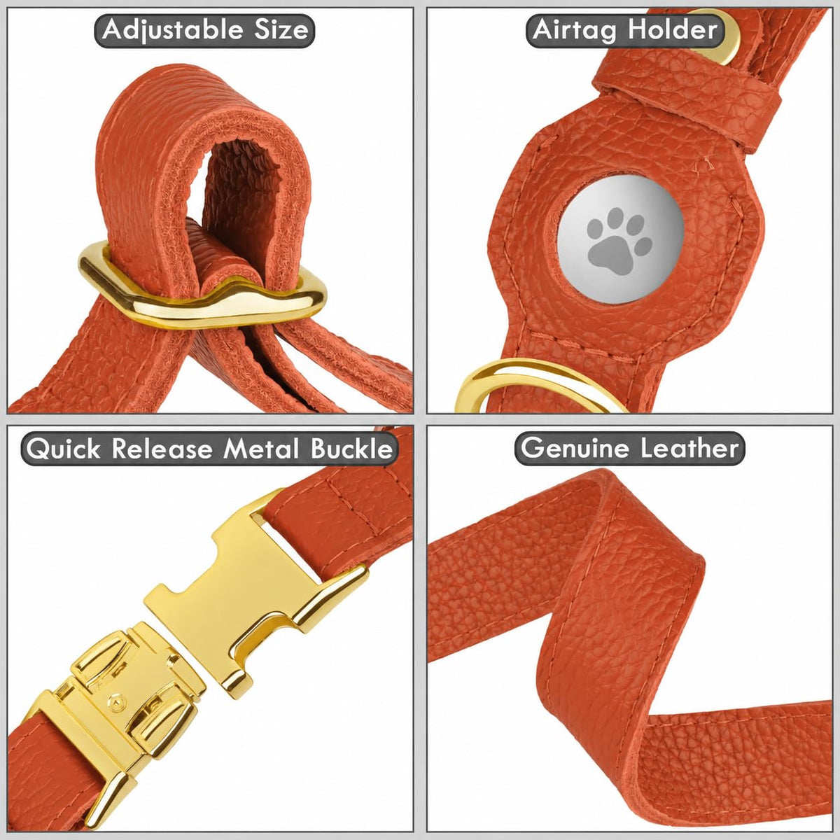BUDKAS Animal Collar in XS, 9"-12" Neck Fit, Orange