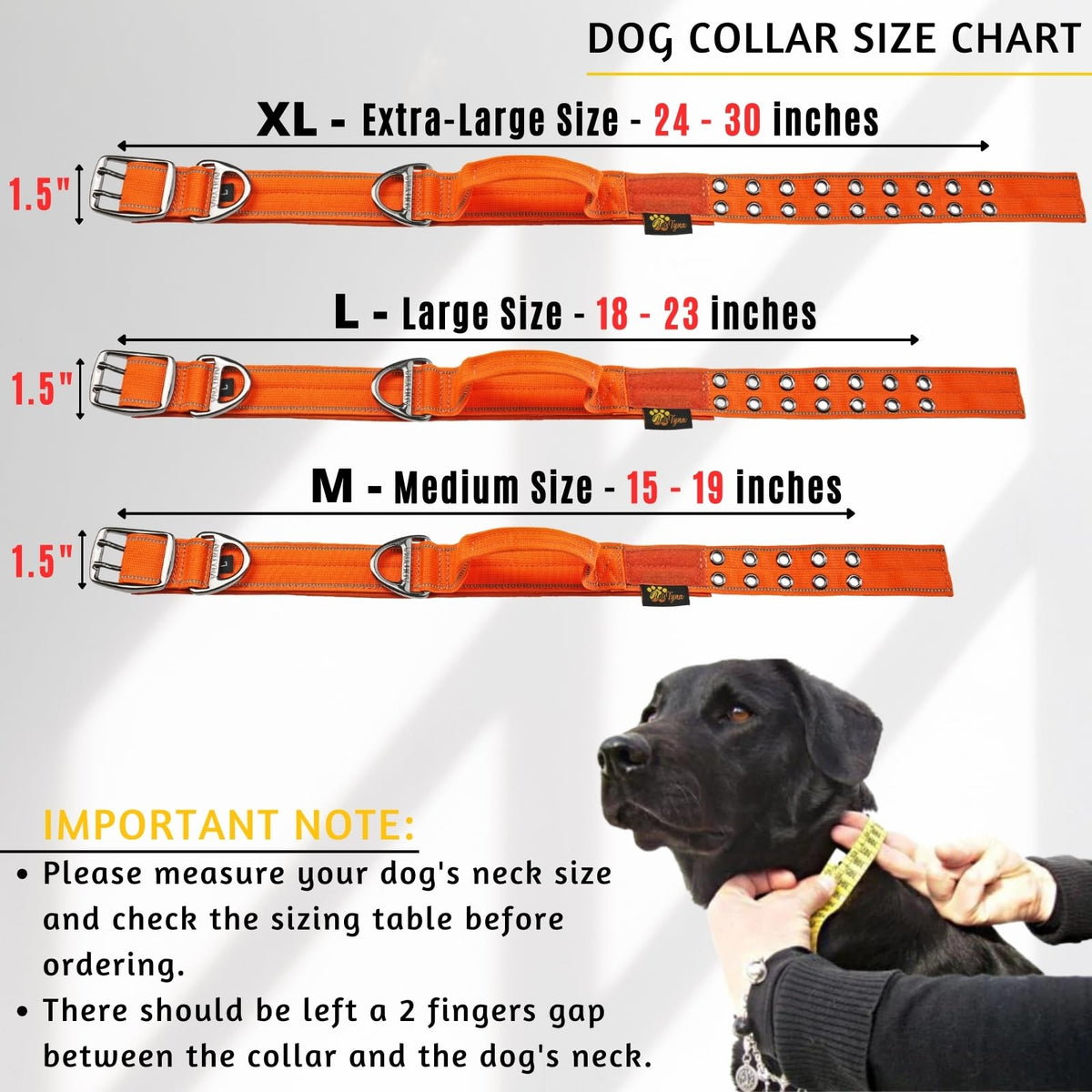ADITYNA Animal Collar in Medium: Fit 15-19" Neck, Orange