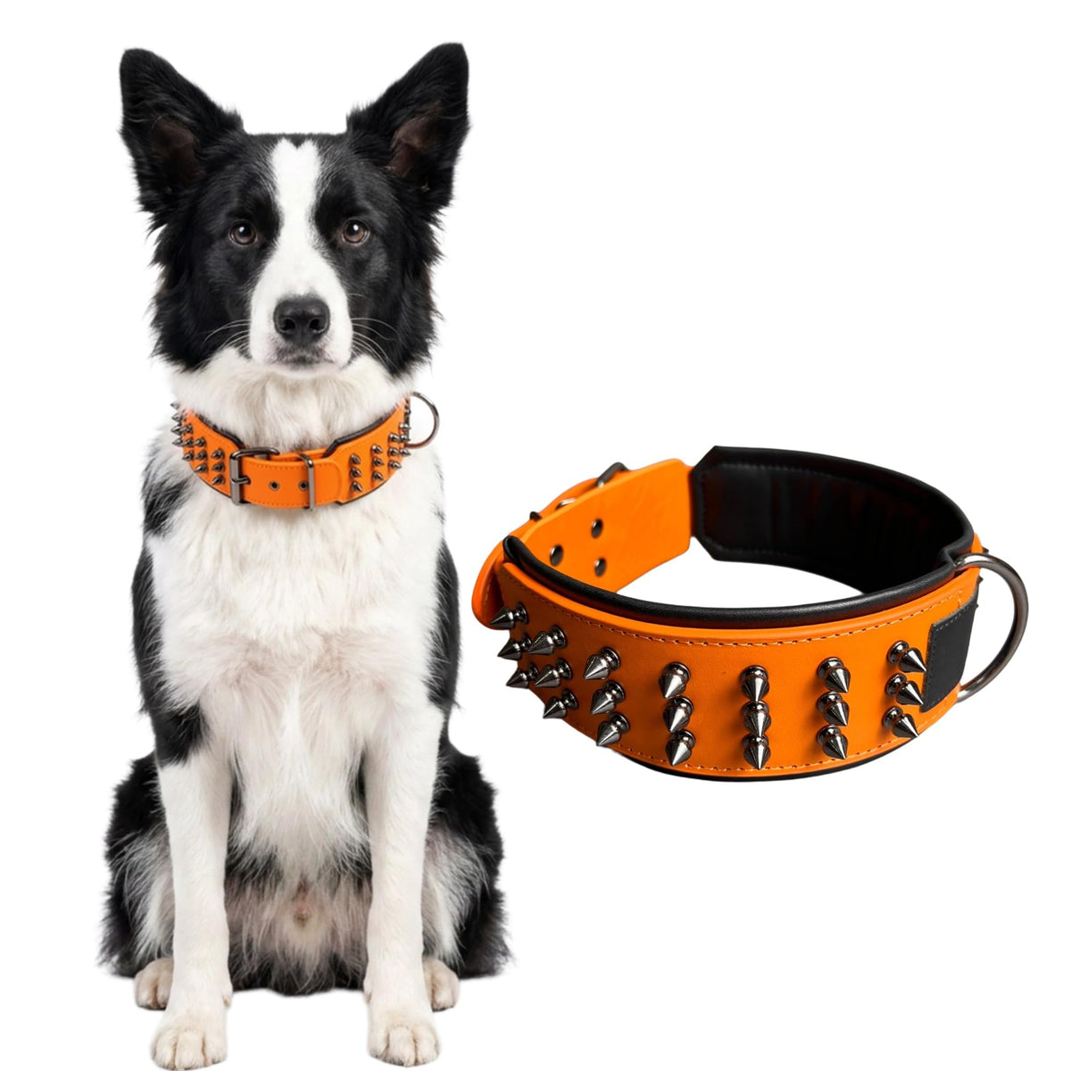 Molteriqo Animal Collar in L-neck 39-47cm, Orange