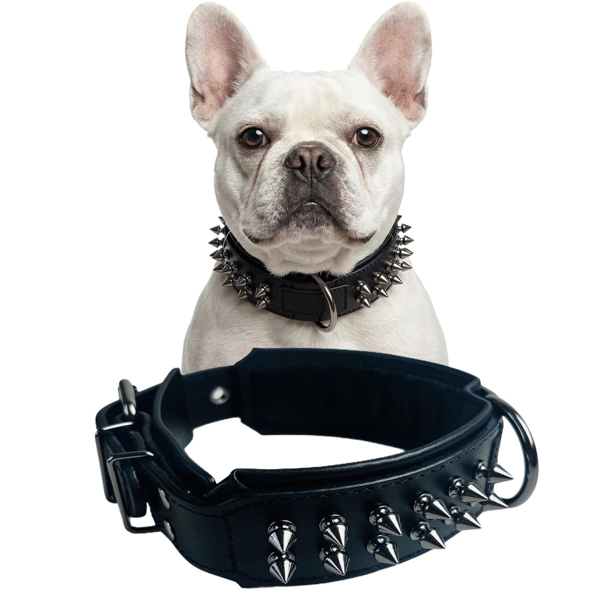 Molteriqo Animal Collar in M-neck 33-41cm, Black
