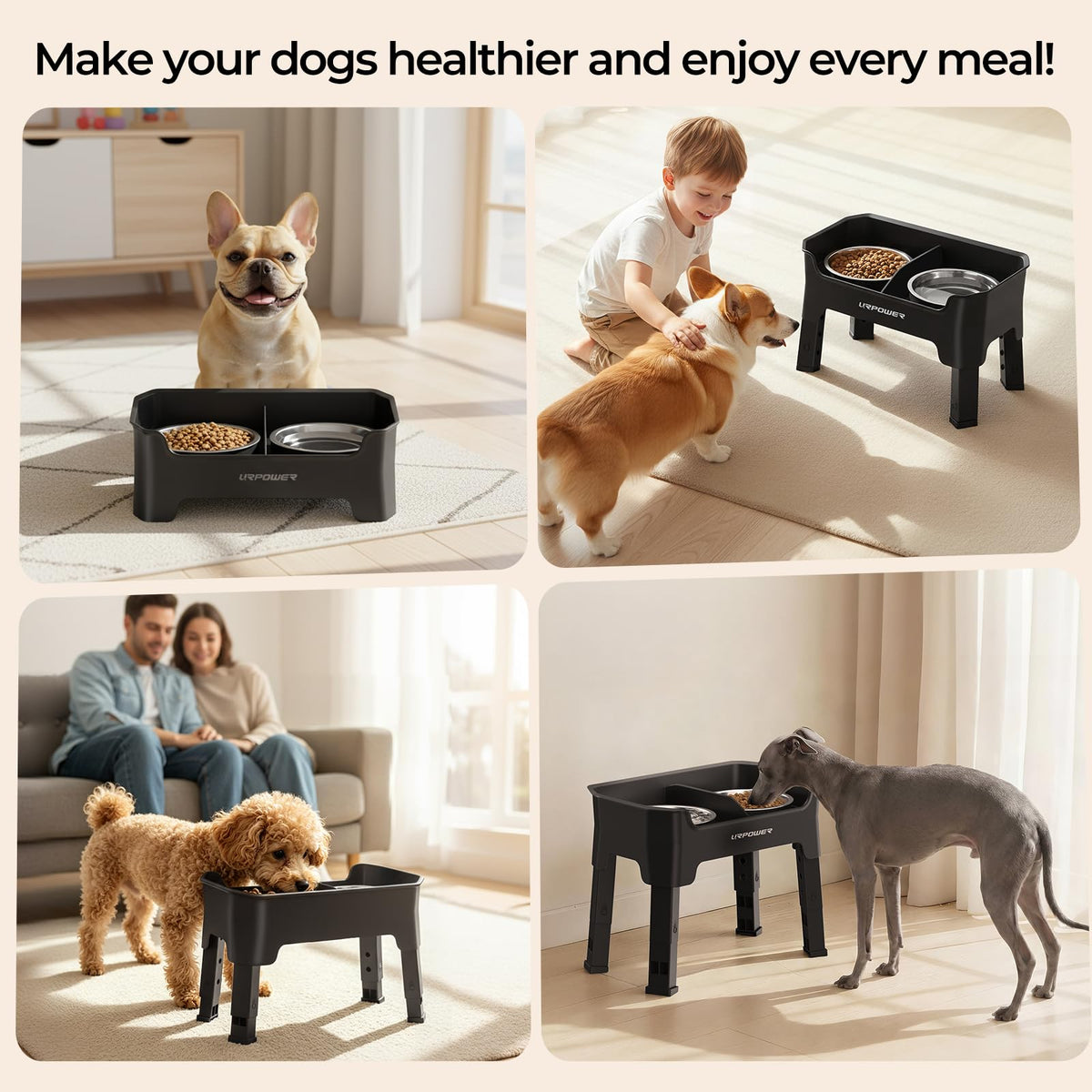 URPOWER Pet Feeder in Small, Matte Black