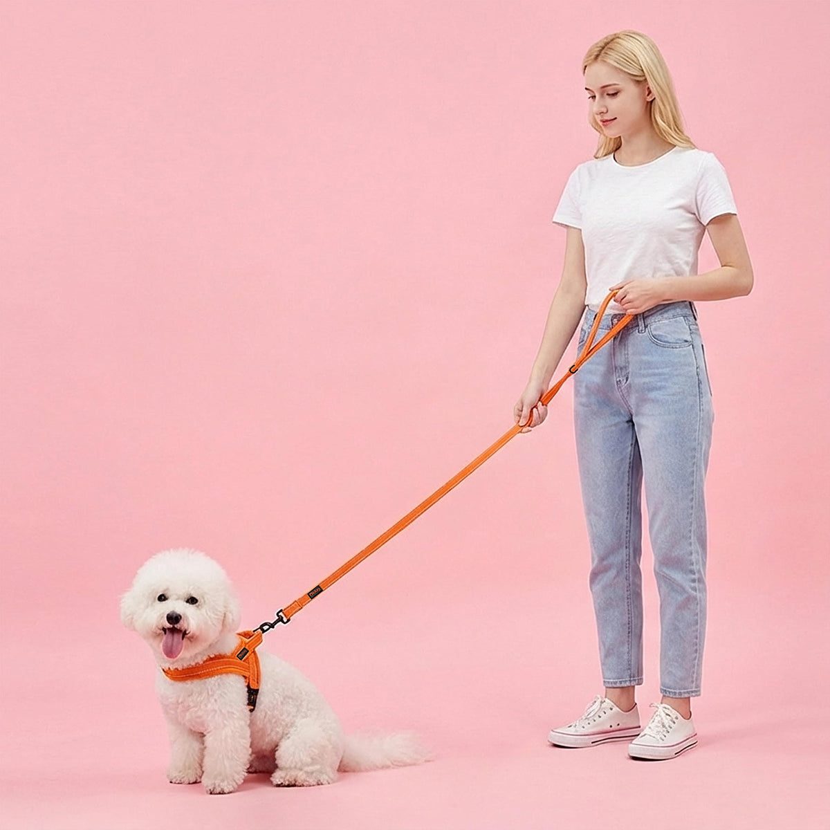 Didog Leash in 5/8''x 6 FT, Orange