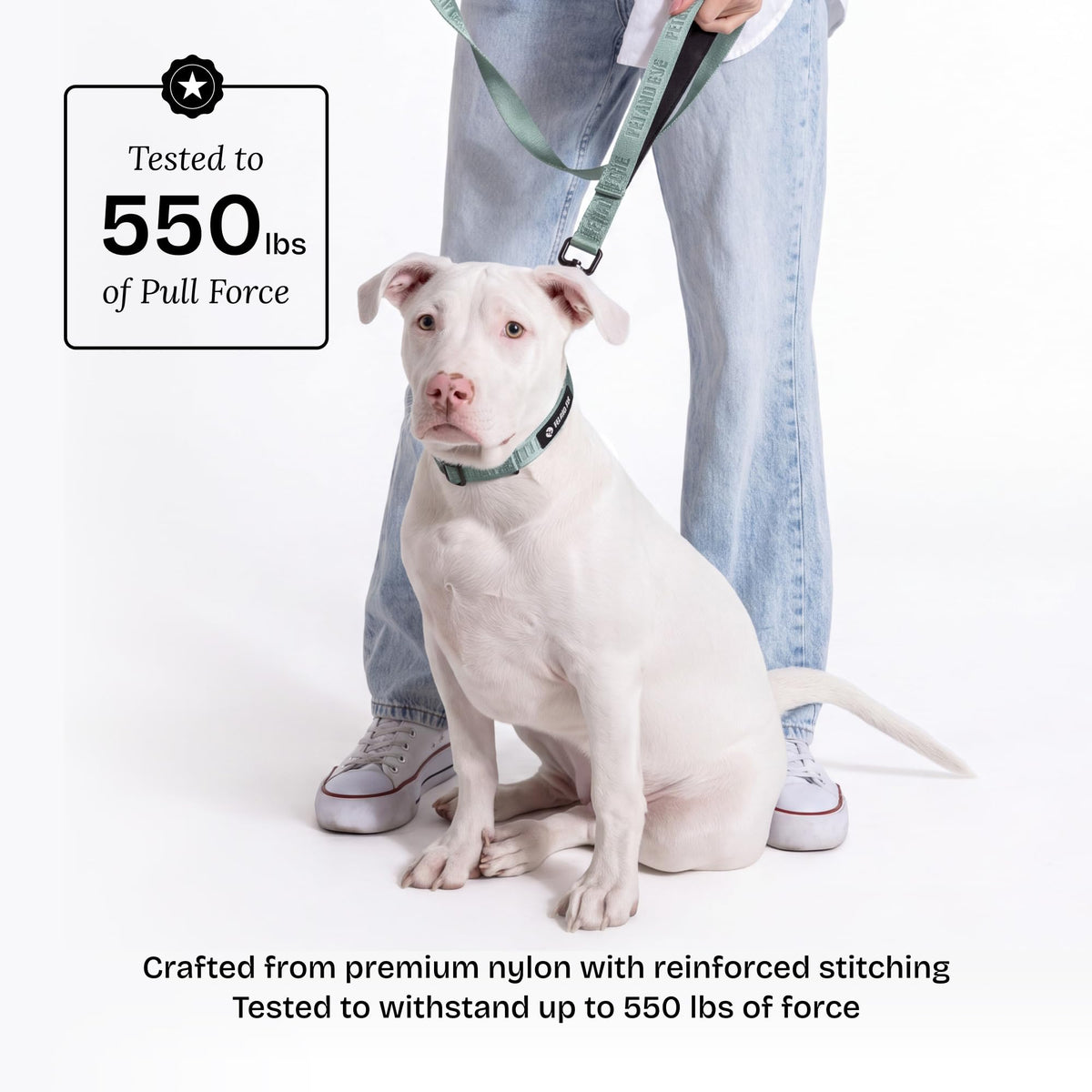Fei and Eve Leash in 4FT, Glacier Green