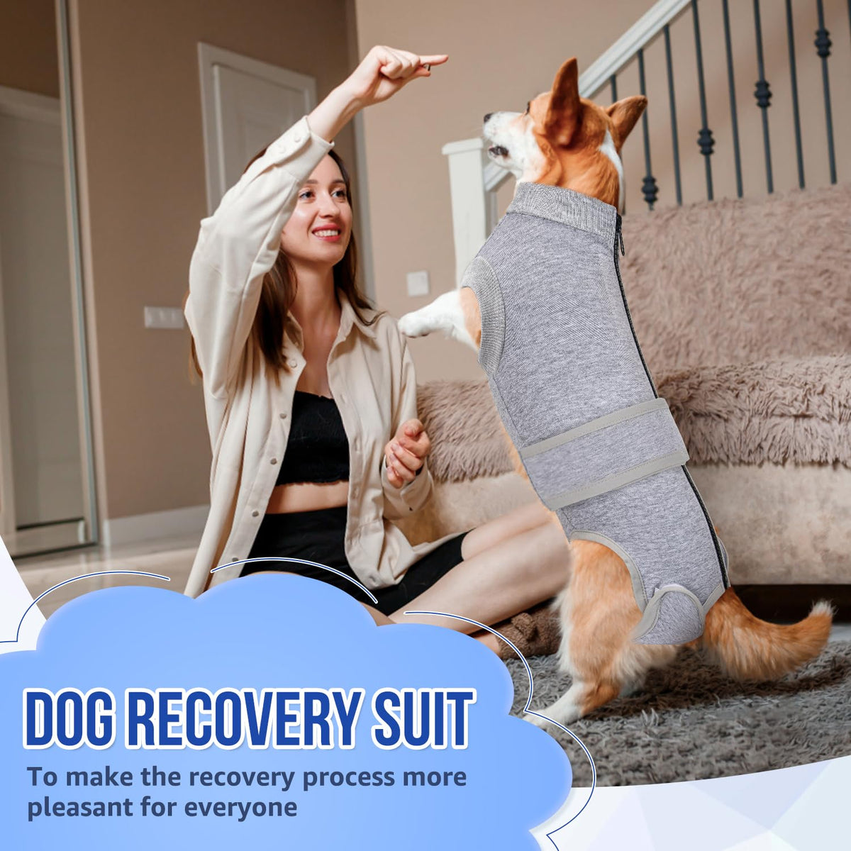 SlowTon Pet Apparel in X-Small, 1.Grey - 95% Cotton + 5% Spandex