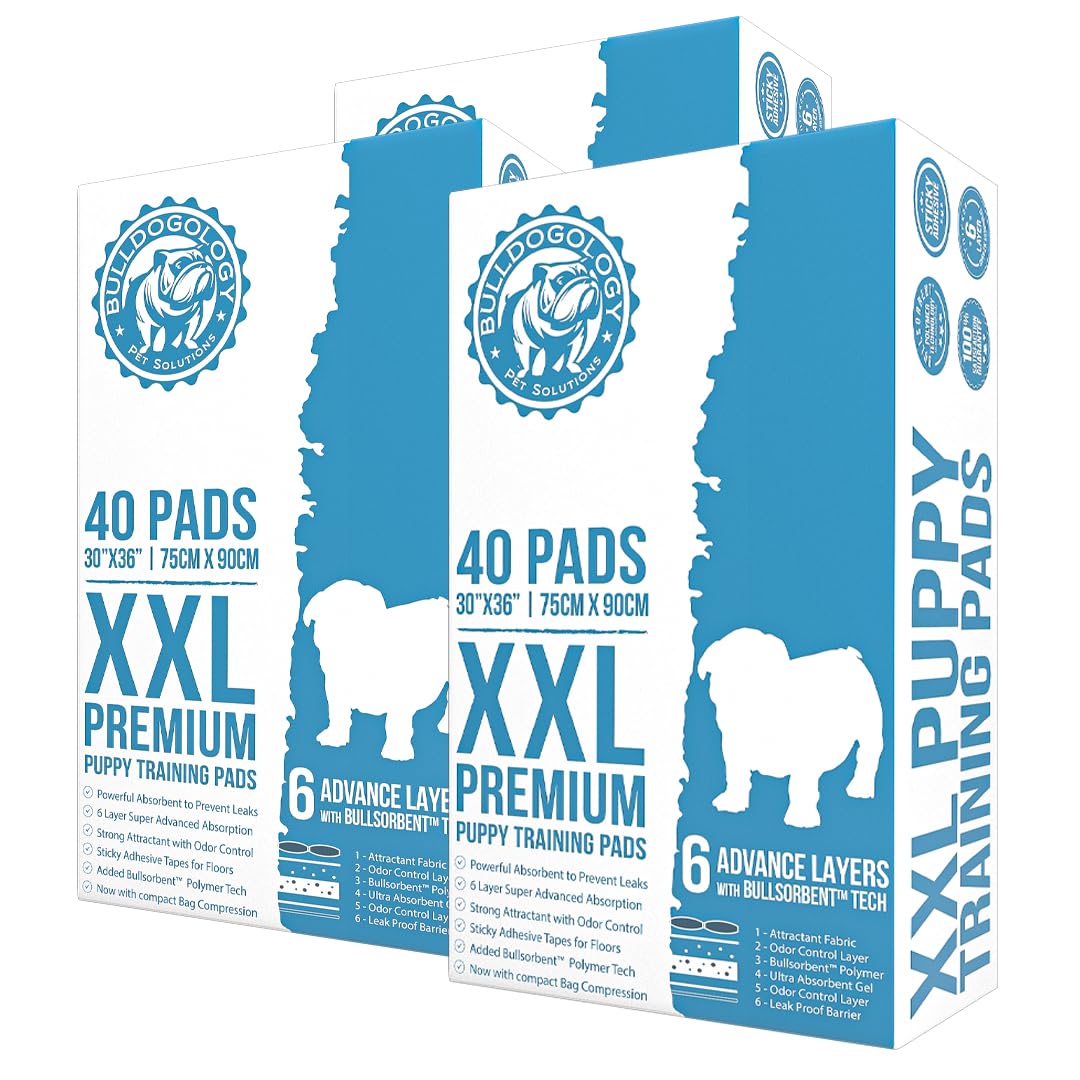 Bulldogology Pet Solutions Disposable Incontinence Surface Protector in 120-Count (30x36), White