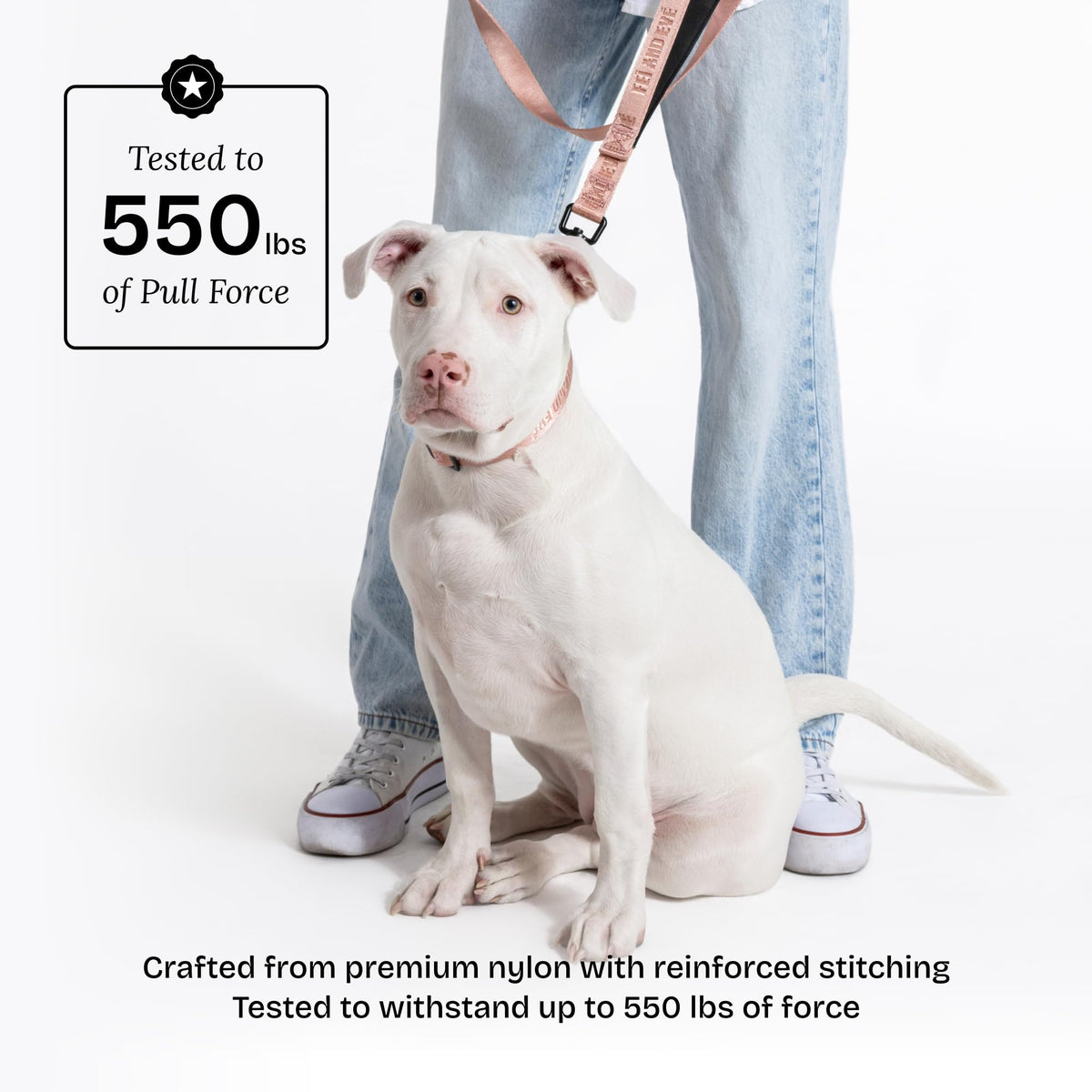 Fei and Eve Leash in 4FT, Blush