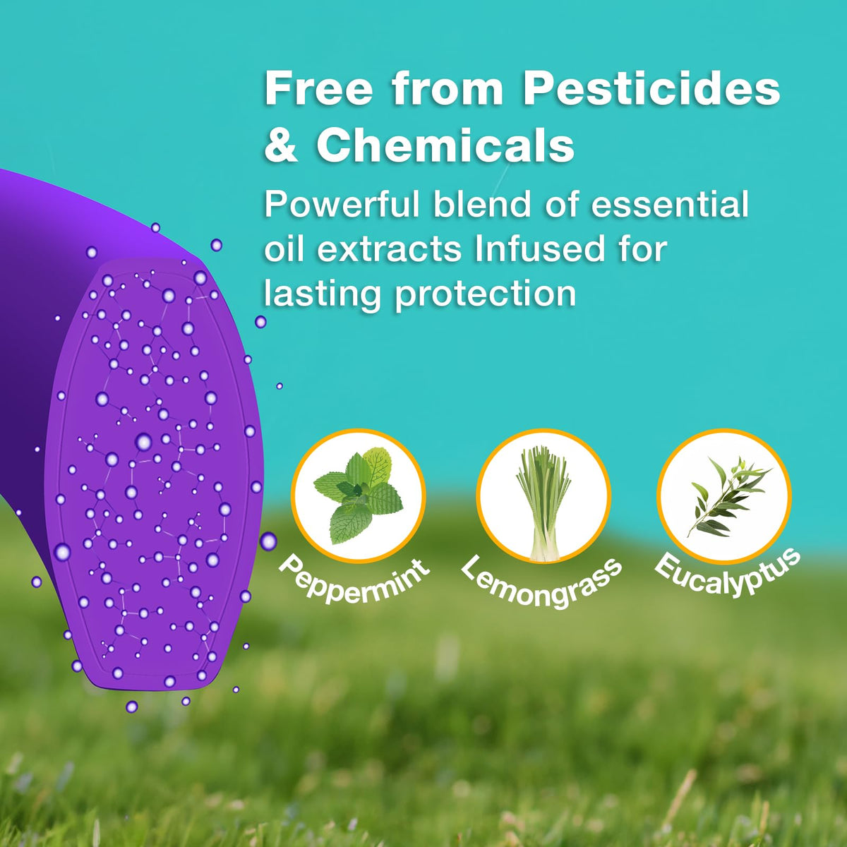 ZingZap Pet Pest Control in Purple
