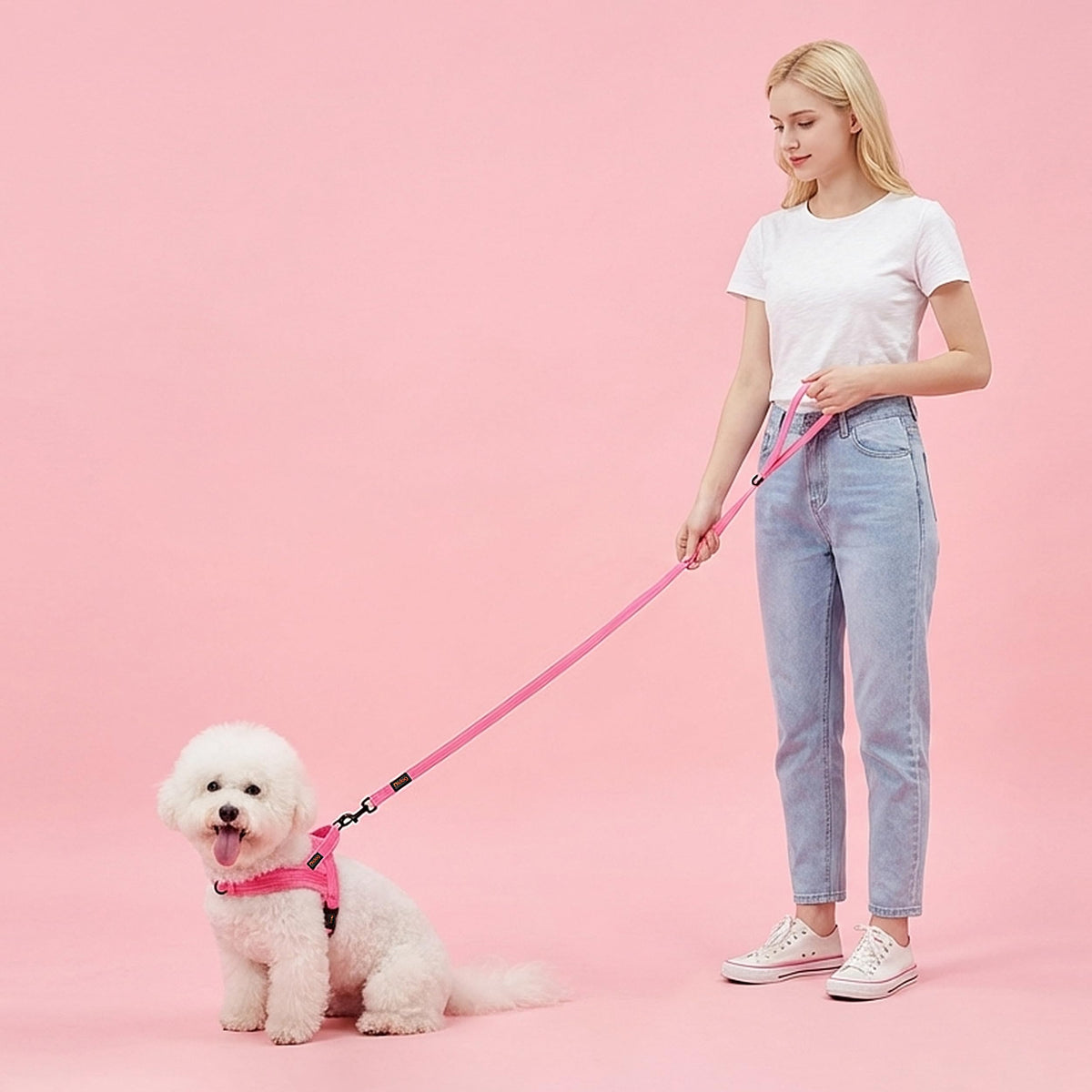 Didog Leash in 5/8''x 6 FT, Pink