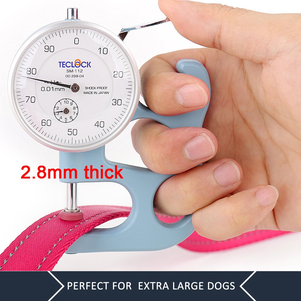 PLUTUS PET Leash in 4 FT, Pink