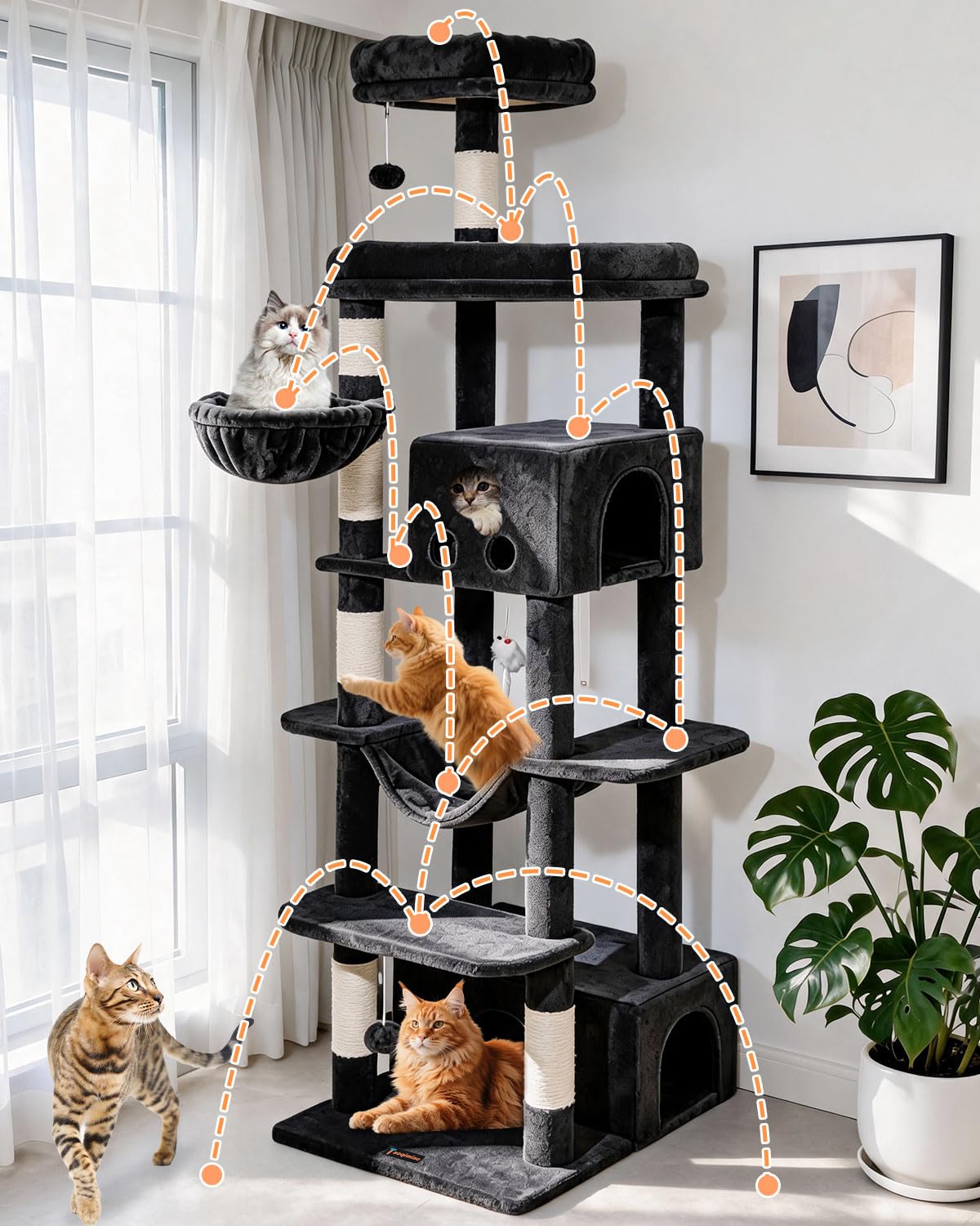 Taoqimiao Pet Activity Structure in 79 inch, Smoky Gray