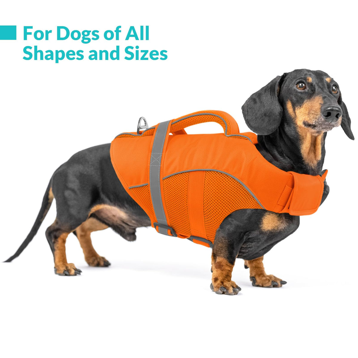 Queenmore Pet Apparel in X-Small, Orange