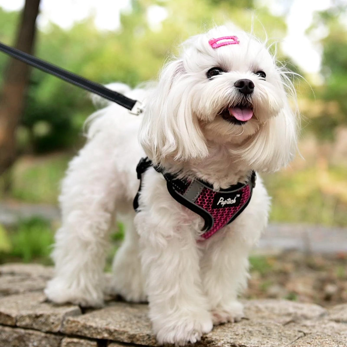 PUPTECK Animal Harness in S (13-17lbs, Chest 15"-18"), #1 HotPink(Breathable Mesh)