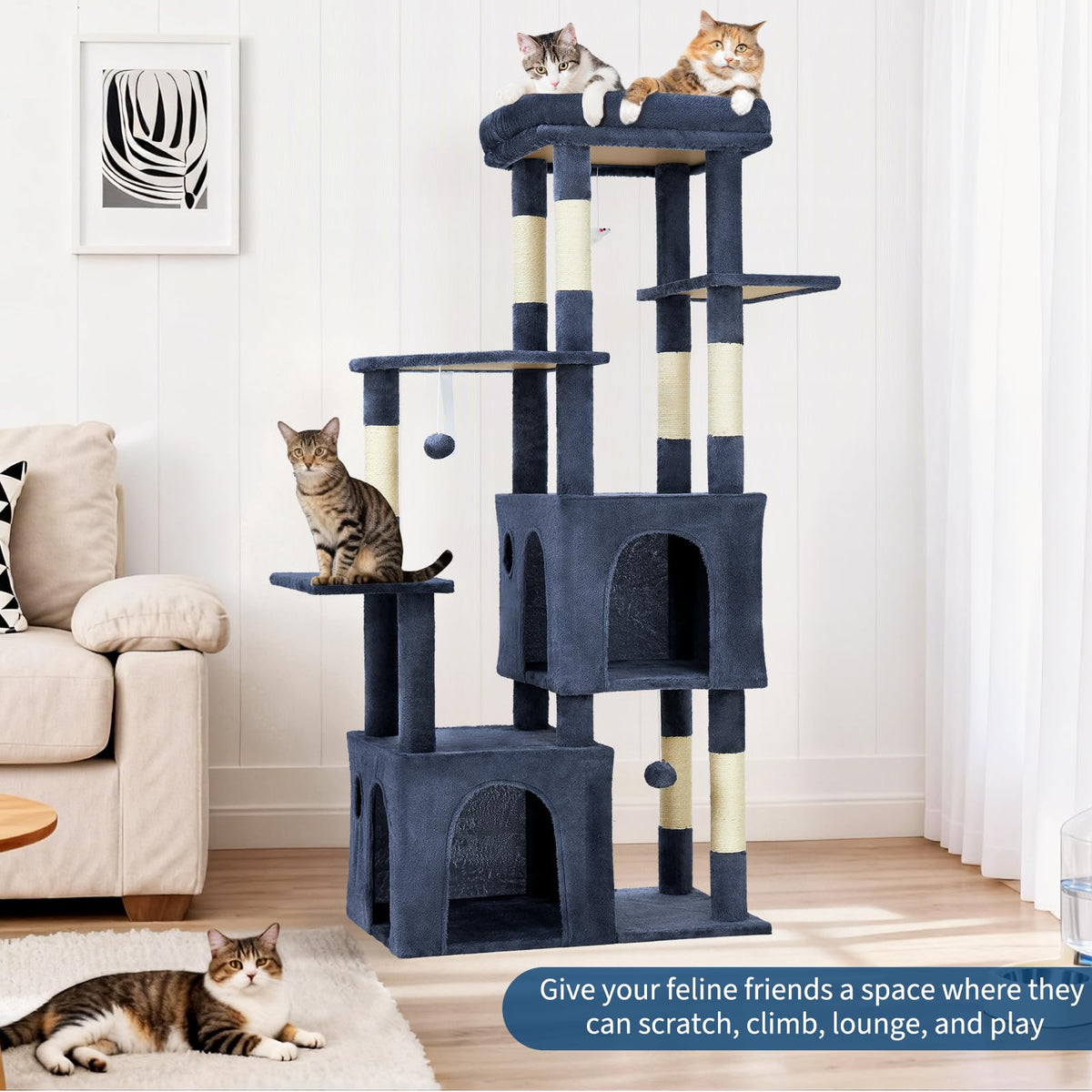 OUTLANE Pet Activity Structure in Blue, Blue