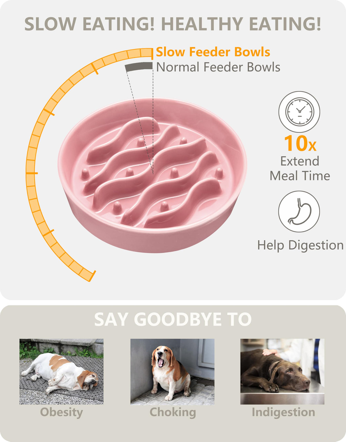 MOPANG Pet Feeder in 6 Inches, Salmon Pink + Stand