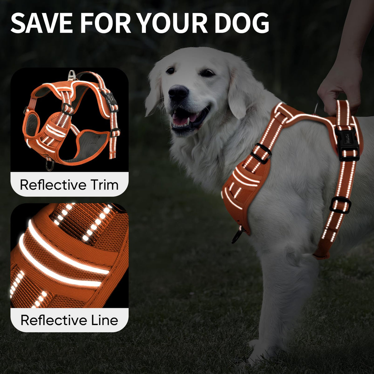 HEELE Animal Harness in S, Pumpkin Orange